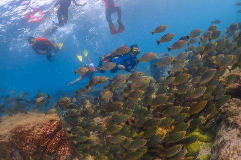 Von ฺBKK:Nemo Island Experience+Lunch im Seaside RestaurantAbholung an Hotels in Bangkok