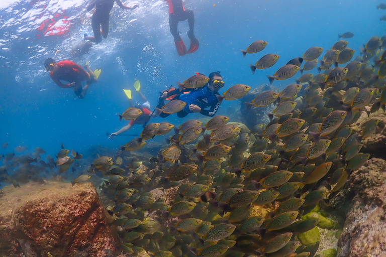 Van ฺBKK: Nemo Island-ervaring + lunch in restaurant aan zeeOphaalservice vanuit hotels in Bangkok