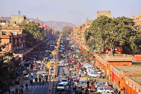 Jaipur: Tour panoramico privato di un giorno intero in Tuk-Tuk