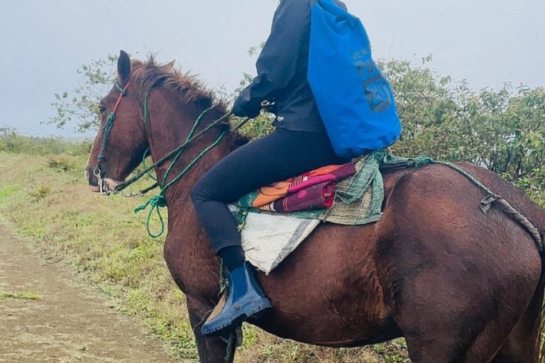 Galapagos : randonnée à cheval sur les crêtes du volcan Sierra Negra