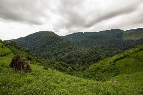 Climbing mount Aberdare ranges and Naivasha Safari