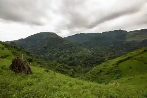 Climbing mount Aberdare ranges and Naivasha Safari
