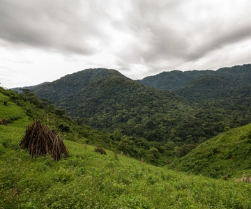 Climbing mount Aberdare ranges and Naivasha Safari
