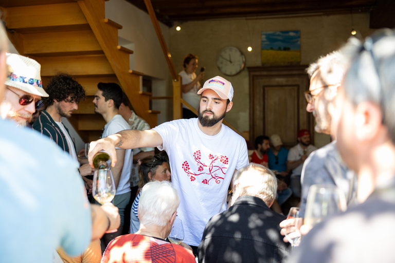 Chablis Clotilde Davenne visit and tasting in english Visite et dégustation Chablis en anglais