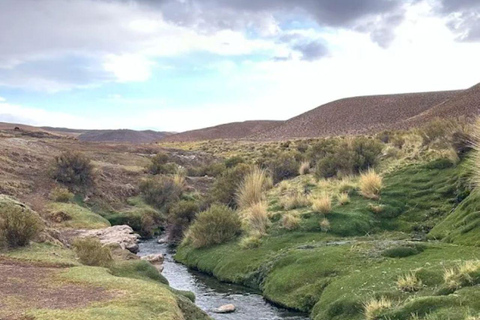 Excursion to San Antonio de los Cobres and the Tuzgle hot springs