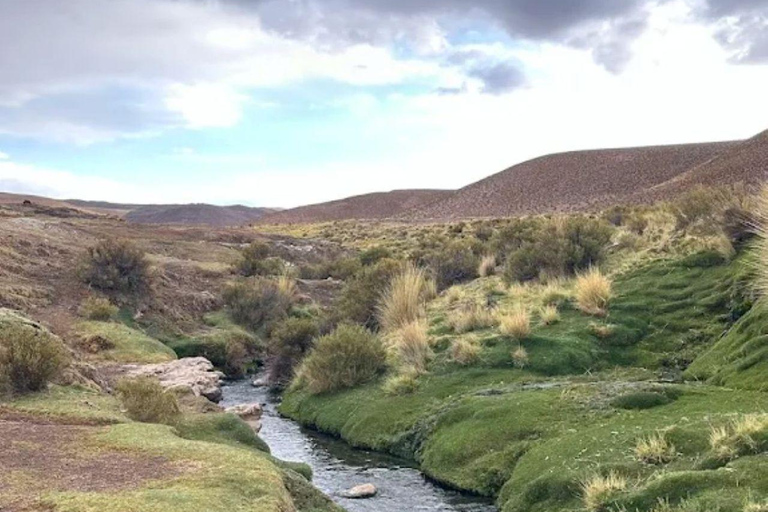 Excursion to San Antonio de los Cobres and the Tuzgle hot springs