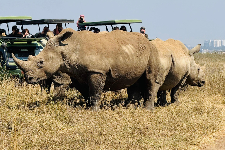 Nairobi Park Safari, Sheldrick's Orphanage & Giraffe Center Shared Drive in Open-Roof Van Game Drive