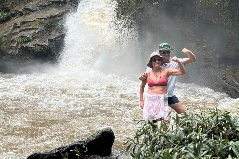 Chiang Mai: Santuario de Elefantes, Cascada y Excursión en RaftingServicio de recogida del hotel