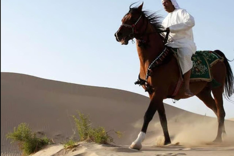 Doha: Horse Riding with Transfers