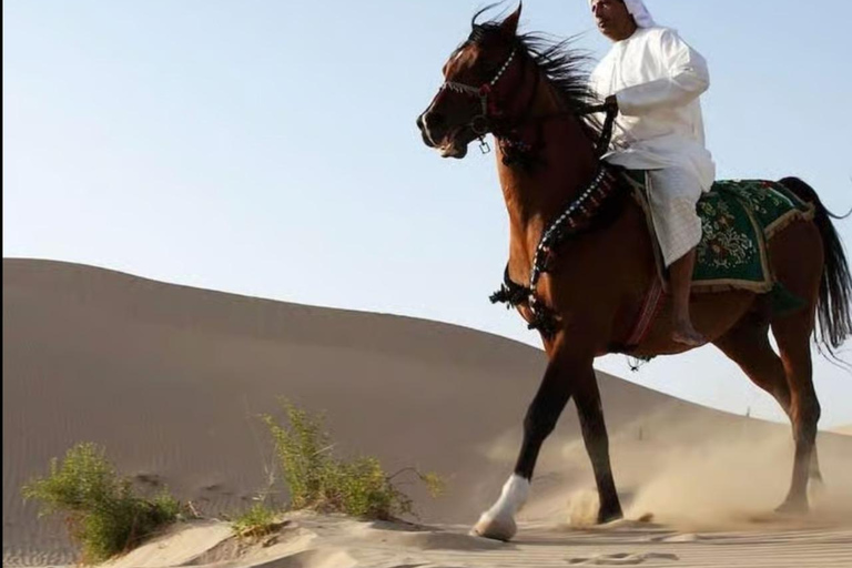 Doha: Horse Riding with Transfers
