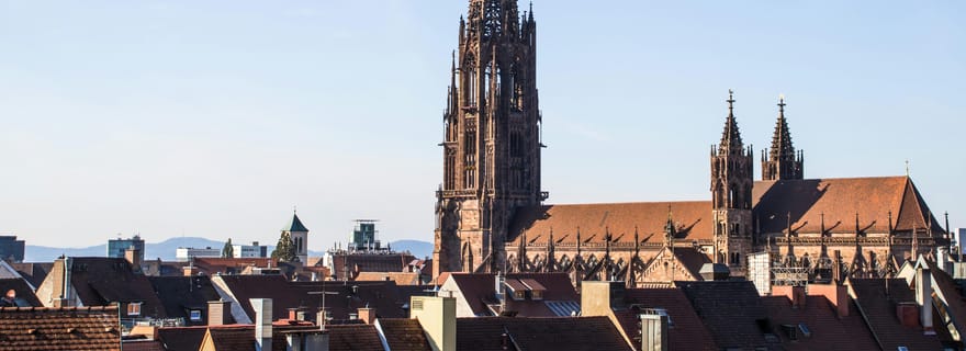 Depuis Strasbourg : Excursion à la journée pour Freiburg, Titisee, Triberg