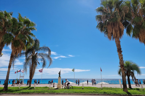 From Nice: Tour of the Most Beautiful Places