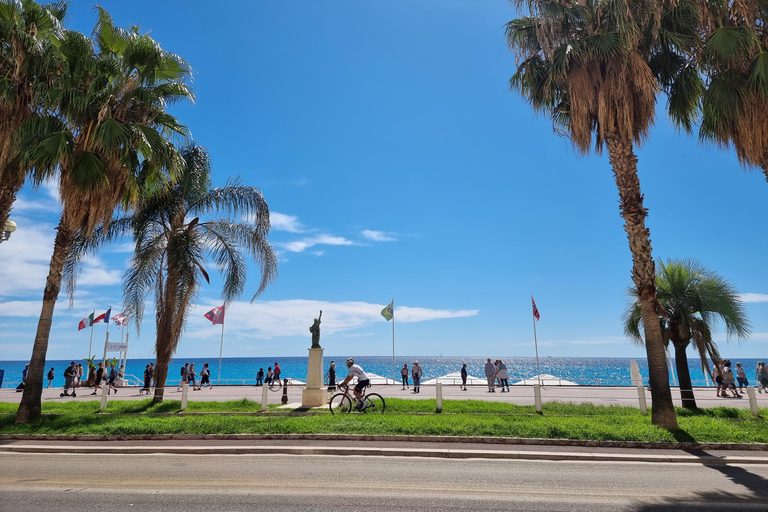 From Nice: Tour of the Most Beautiful Places