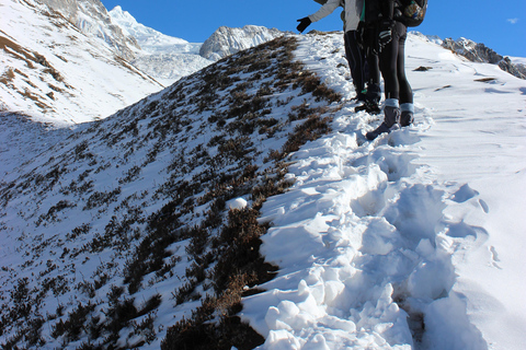 Da Kathmandu: 9 giorni di trekking nella valle del Langtang