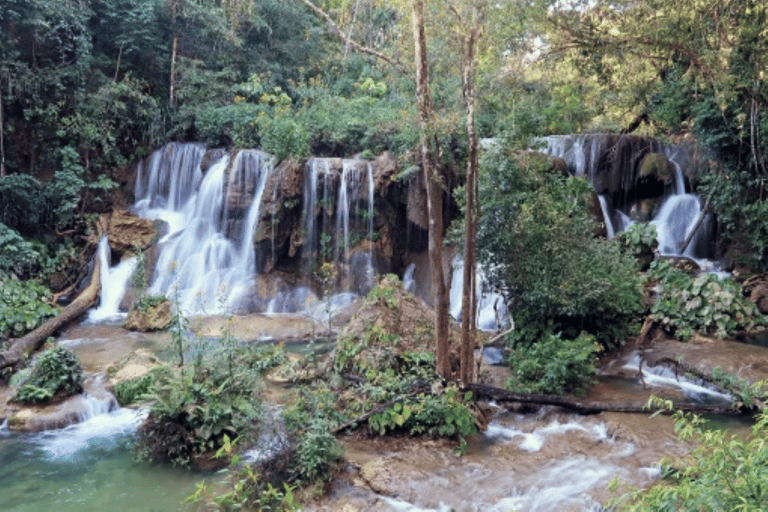 San Cristobal: 3 Days Expedition of North Lacandona JungleIn cabin within the jungle with shared bathroom