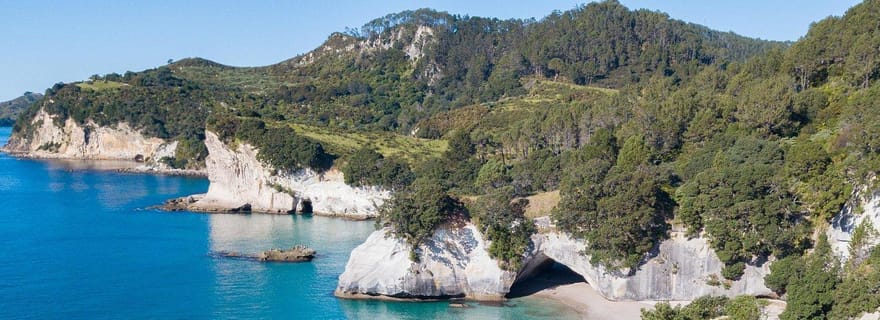 Whitianga : visite de Cathedral Cove en bateau à fond de verre (2 heures)