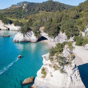 Whitianga: 2-Hour Glass Bottom Boat Cathedral Cove Tour