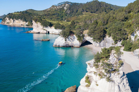 Whitianga: 2-Hour Glass Bottom Boat Cathedral Cove Tour