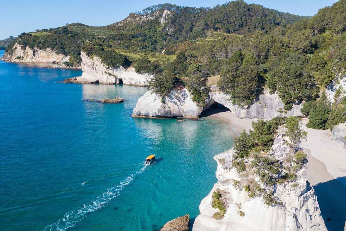 Whitianga: 2-Hour Glass Bottom Boat Cathedral Cove Tour - Whitianga: 2-Hour Glass Bottom Boat Cathedral Cove Tour