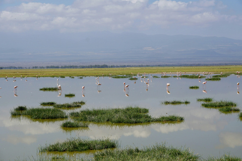 Nairobi: Tour di un giorno al Parco Nazionale Amboseli e al villaggio Maasai