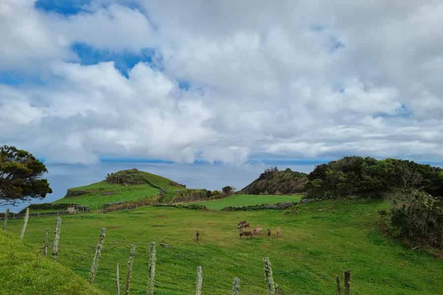 Vila Do Porto: Tour zu Roter Wüste, Bucht von São Lourenço & Aussichtspunkten