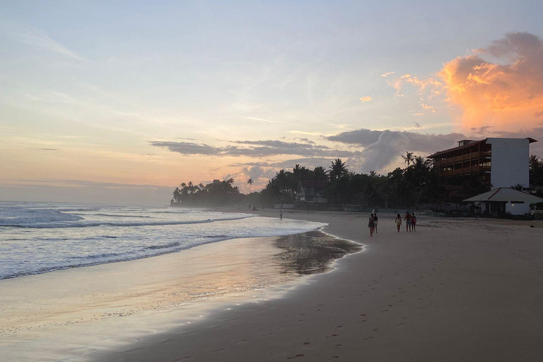 Ella: 3-Day Heritage Tour to Kandy, Nuwara Eliya & Sigiriya