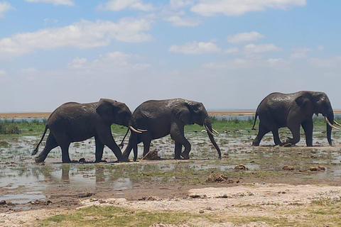 OVER NIGHT AMBOSELI PARK FROM NAIROBI BUDGET SAFARI.