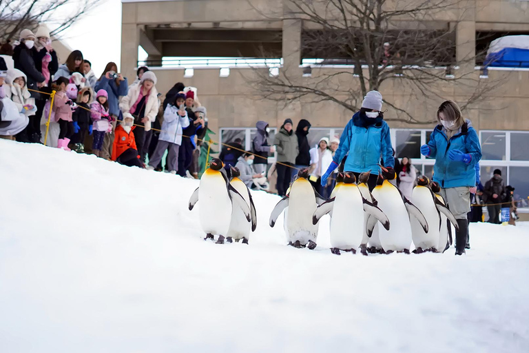 Asahiyama Adventure: Zoo+Waterfalls & Blue Pond Day Tour Meet at Exit 31 of Odori Park Subway Station