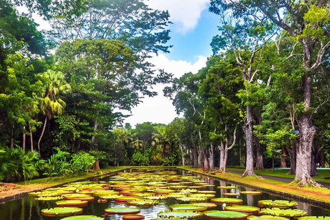 Mauricio: Nado con tortugas y tour de descubrimiento del norte con servicio de recogida