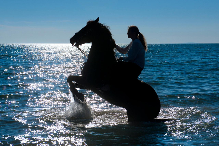 Essaouira: 1.5-Hour Horse Ride & Swim Experience with Photos