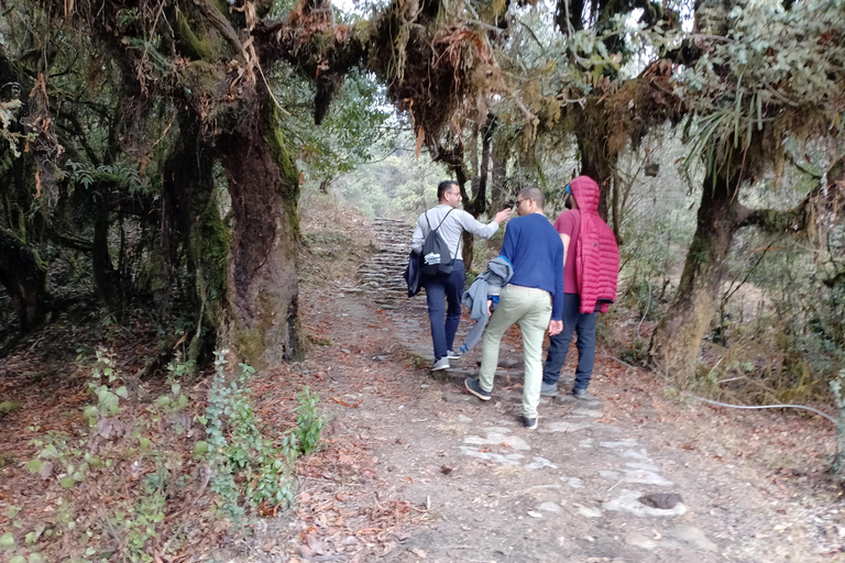 Z Pokhary: 2-dniowa wycieczka piesza na wzgórze Panchase i powrót samochodem