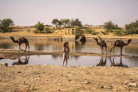 Exclusive Musical Evening at Desert Luxury Camp (NO CAMEL)
