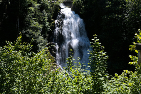 Excursão a Brienz, Iseltwald e Cataratas de GiessbachExcursão a Brienz, Iseltwald e às Cataratas de Giessbach