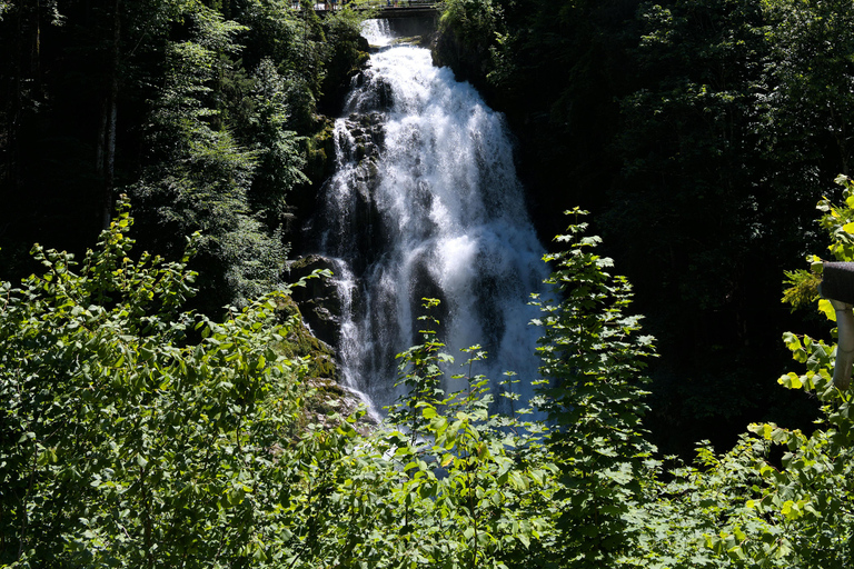 Excursão a Brienz, Iseltwald e Cataratas de GiessbachExcursão a Brienz, Iseltwald e às Cataratas de Giessbach
