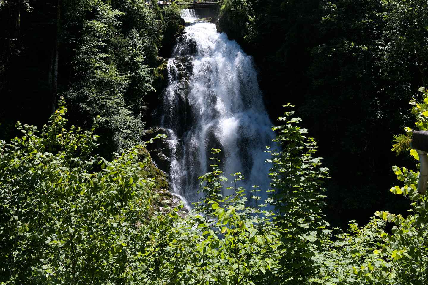 Brienz, Iseltwald, Giessbach Falls Tour