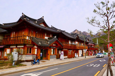 DMZ+EunpyeongHanokVilliage(Cafe+Temple/Museum)_Private GuideDMZ+Eunpyeong Hanok Village_Mountain View Cafe+Hanok Museum