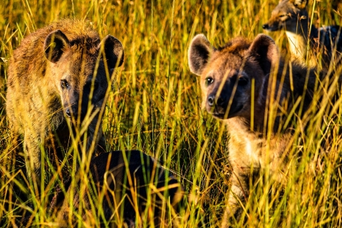3 days Murchison Falls National Park & Ziwa Rhino Safari