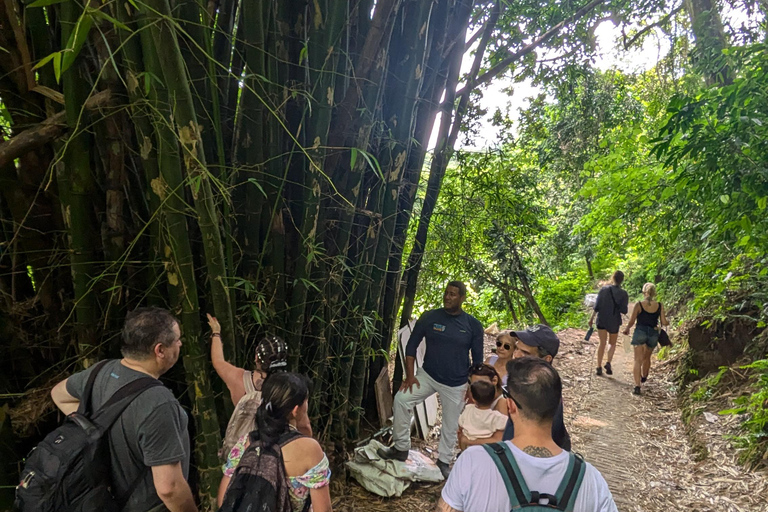 Minca, cachoeira escondida e oficina de cacau + oficina de café