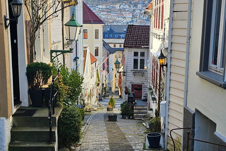 Bergen : visite à pied