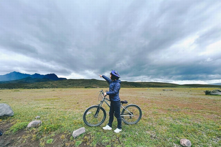 Från Quito: Tur till vulkanen Cotopaxi och lagunen Limpiopungo