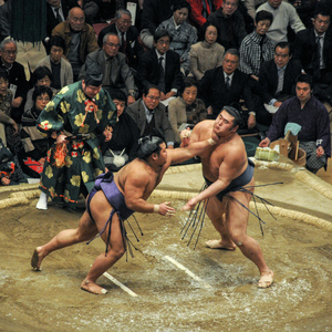 Sumo Tournament: Guided Experience + Ticket & Assigned Seat