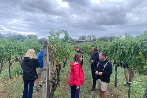 Wine Tasting e Tour di Taormina e Messina partendo da Messina