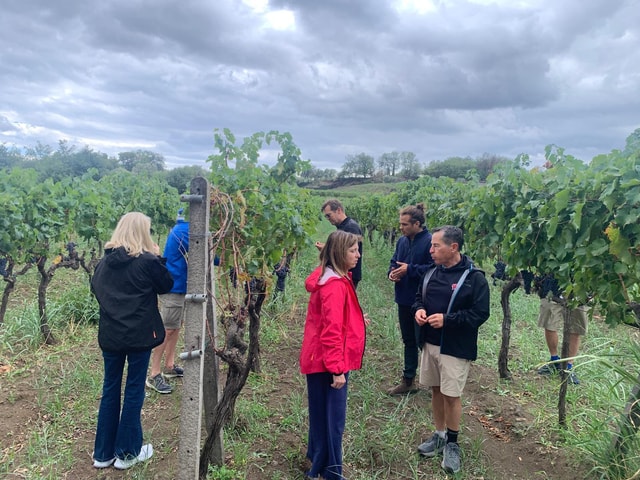 Wine Tasting and Tour of Taormina and Messina starting from Messina