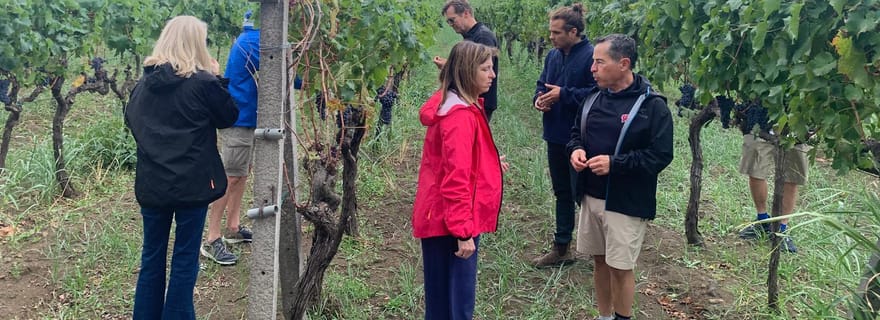 Dégustation de vin et visite de Taormine et Messine au départ de Messine