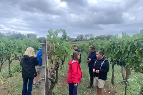 Wine Tasting e Tour di Taormina e Messina partendo da Messina