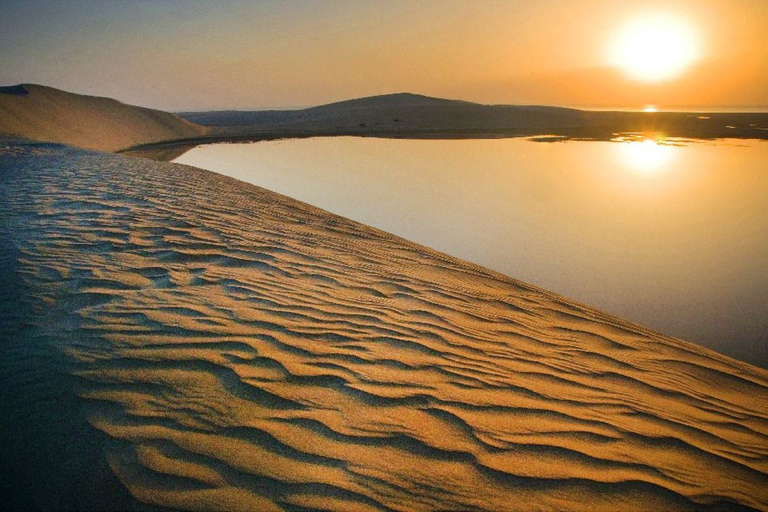 Qatar: Safari por el desierto y visita a la ciudad de Doha (Combo)