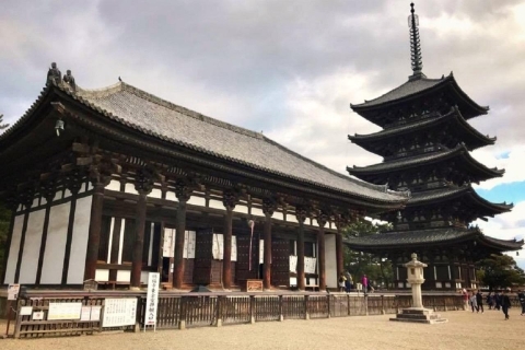 Kyoto: Nara, Todaiji, Kasuga Taisha Shrine Private Full Day Private Tour with Kyoto Meeting Point