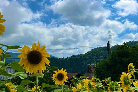 Au départ de Nara : visite privée du village au toit de chaume de Kyoto