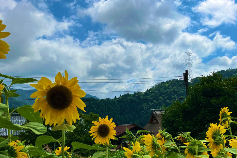 Au départ de Nara : visite privée du village au toit de chaume de Kyoto