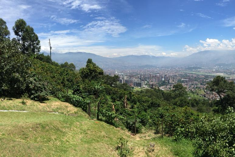 Medellín: Comuna 8 Transformation & Urban Coffee Farm Tour